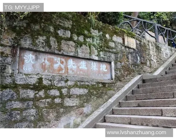 姚明南方之旅:篮球巨星的故乡情与文化探索