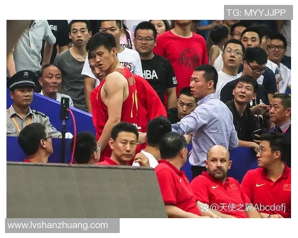 明星们热衷国际篮球赛场激情瞬间分享与精彩评论